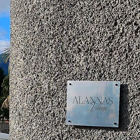 Villa Dori's Funchal